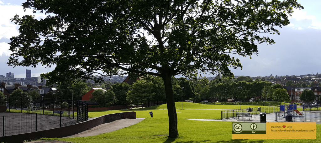 Advent Day 24: Harehill’s Parks and Green&nbsp;Spaces