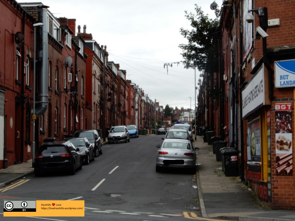 The Back-to-Backs of Harehills and&nbsp;Chapeltown