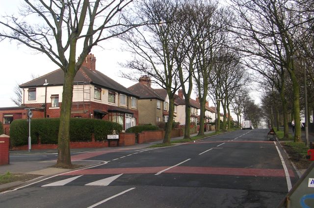 Advent Day 14: BDB and JSH Clean Up of Harehills&nbsp;Cemetery