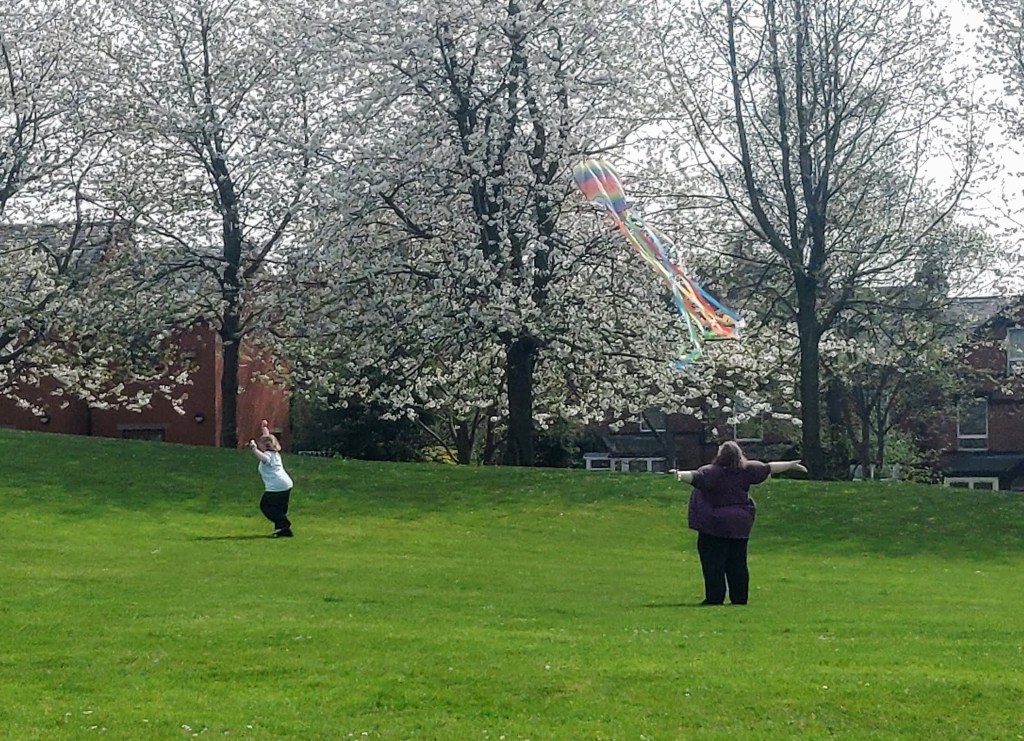 Day 19: Banstead Park: A Young Park with a Growing&nbsp;Legacy